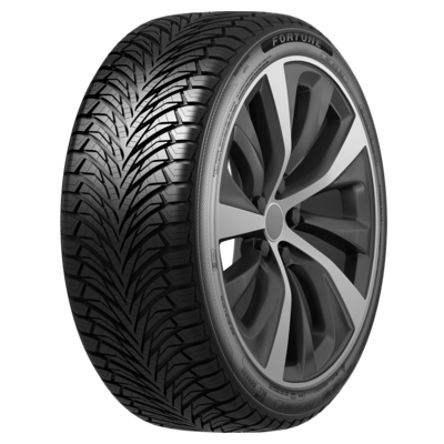 Шина Fortune Fitclime FSR-401 215/60 R17 100V